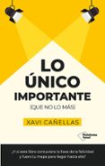 Lo único importante-15904676-otro-formato