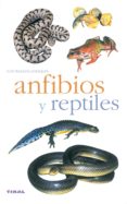 anfibios y reptiles-9788430553341 anfibios y reptiles-9788430553341