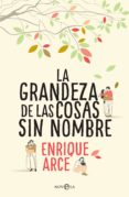 la grandeza de las cosas sin nombre (ebook)-enrique arce-9788491643951 la grandeza de las cosas sin nombre (ebook)-enrique arce-9788491643951