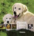 perros 1001 fotos-9788499280851 perros 1001 fotos-9788499280851