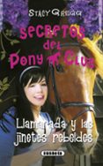 llamarada y las jinetes rebeldes-stacy gregg-9788499282251 llamarada y las jinetes rebeldes-stacy gregg-9788499282251