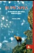 rupicapra: un mundo de montañas, rebecos y caza-luis de la peña-9788493448561 rupicapra: un mundo de montañas, rebecos y caza-luis de la peña-9788493448561