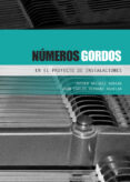 numeros gordos en el proyecto de instalaciones (ebook)-9788493930561 numeros gordos en el proyecto de instalaciones (ebook)-9788493930561