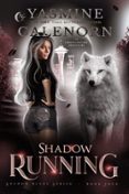 SHADOW RUNNING: AN URBAN FANTASY ADVENTURE