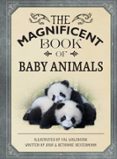 THE MAGNIFICENT BOOK OF BABY ANIMALS  (edición en inglés)