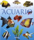 atlas ilustrado del acuario-alain breitenstein-9788430546671 atlas ilustrado del acuario-alain breitenstein-9788430546671