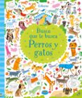 busca que te busca :perros y gatos-robson kirsteen-9781474929981 busca que te busca :perros y gatos-robson kirsteen-9781474929981