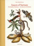 insects of surinam (ed. trilingüe ingles-aleman-frances)-maria sibylla merian-9783822852781 insects of surinam (ed. trilingüe ingles-aleman-frances)-maria sibylla merian-9783822852781