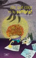 ¿de que color es tu sombra? (ebook)-9786071132581 ¿de que color es tu sombra? (ebook)-9786071132581