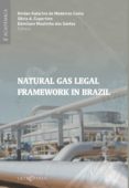 Descargas de libros de texto de libros electrónicos NATURAL GAS LEGAL FRAMEWORK IN BRAZIL