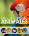 la vida de los animales-9788428536691 la vida de los animales-9788428536691