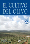 el cultivo del olivo ( 6ª edicion)-r. fernandez escobar-d. barranco-9788484763291 el cultivo del olivo ( 6ª edicion)-r. fernandez escobar-d. barranco-9788484763291
