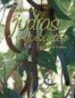 cultivo de judias-9788428215121 cultivo de judias 9788428215121