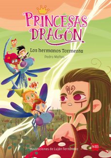 Portada de PRINCESAS DRAGON 5 : LOS HERMANOS TORMENTA