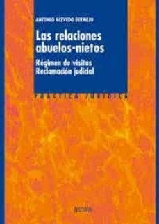 Descargar LAS RELACIONES ABUELOS-NIETOS: REGIMEN DE VISITAS, RECLAMACION JU DICIAL gratis pdf - leer online