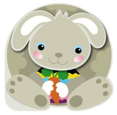 Portada de EL CONILL SALTIRO