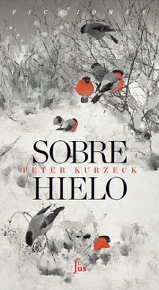 Descargar enlaces de ebooks SOBRE HIELO 9788417893941 (Spanish Edition) de PETER KURZECK 