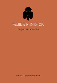 Portada de FAMILIA NUMEROSA
