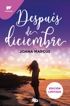 Portada de DESPUES DE DICIEMBRE (EDICION REVISADA POR LA AUTORA) (EDICION LI MITADA) (MESES A TU LADO 2)