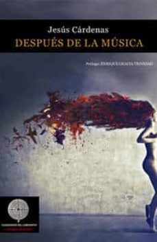 Portada de DESPUES DE LA MUSICA