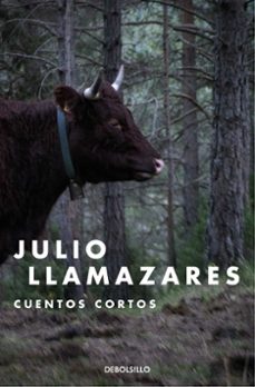 Descargar ebooks para ipods CUENTOS CORTOS iBook FB2 de JULIO LLAMAZARES