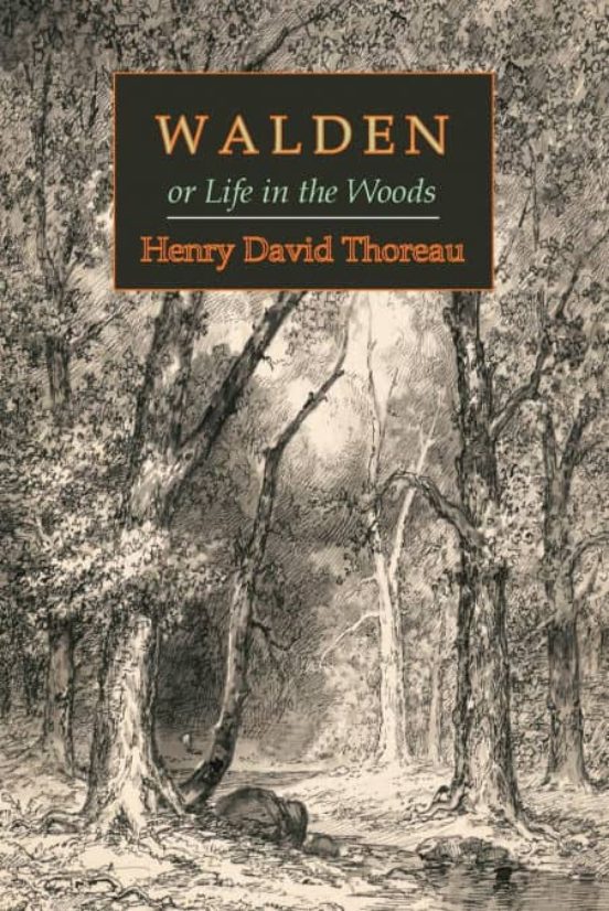 WALDEN OR LIFE IN THE WOODS | HENRY DAVID THOREAU | Comprar libro ...